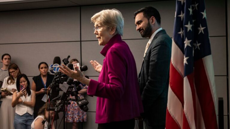 WATCH: Liz Warren Totally Loses It after Trump Meets with Mamdani