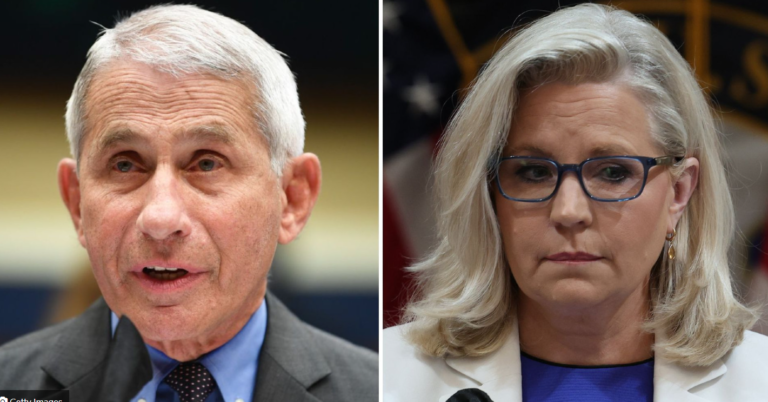 Biden’s Pardons Of Fauci, Cheney, Won’t Cover Lying to Congress: Analysts